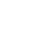 Reviews on Google